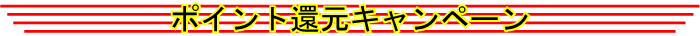 �|�C���g�Ҍ��L�����y�[��